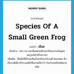 เขียดภาษาอังกฤษ
